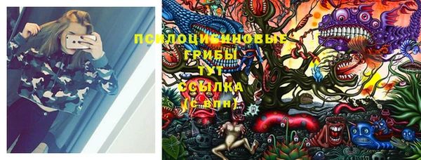 дурь Белоозёрский