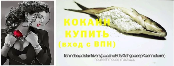стаф Баксан