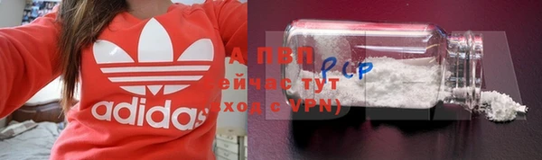 кокс Белокуриха