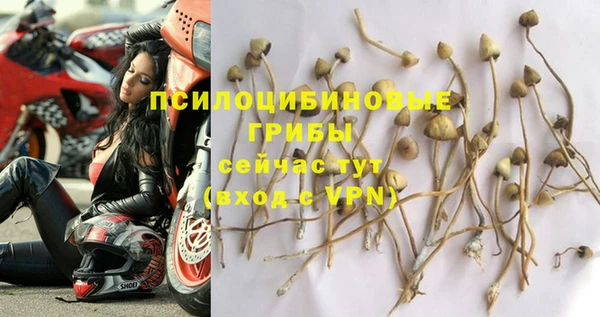 дурь Белоозёрский