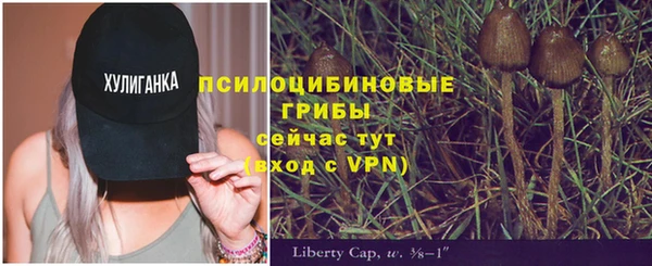 стаф Баксан