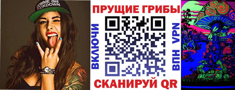 Галлюциногенные грибы Psilocybe  Демидов 